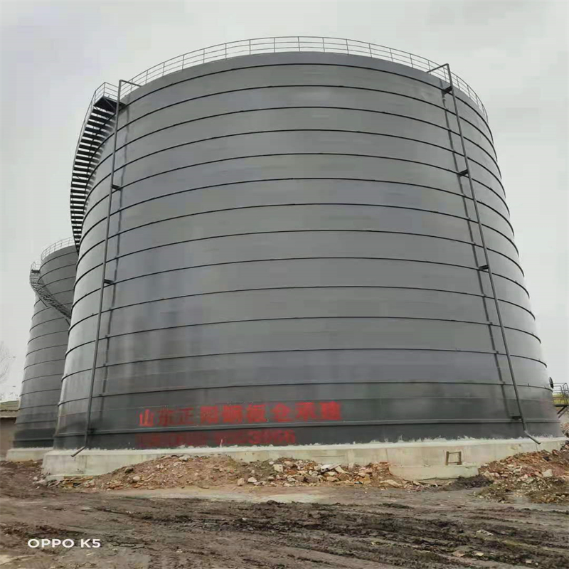 桃江3万吨大型钢板库