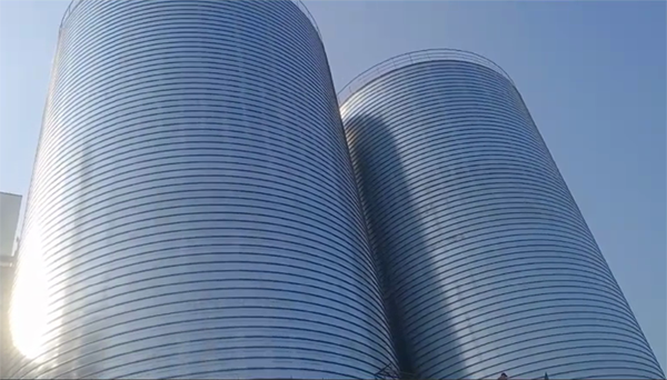 桃江2座混凝土高架卷板仓